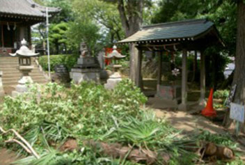 地域貢献活動の一部を紹介します1